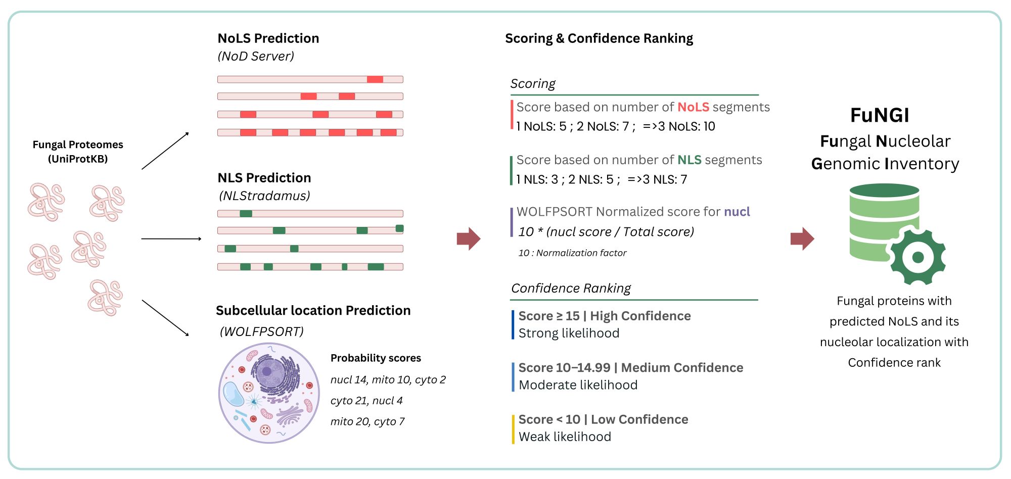 Prediction pipeline and confidence ranking for NoLS-containing proteins
